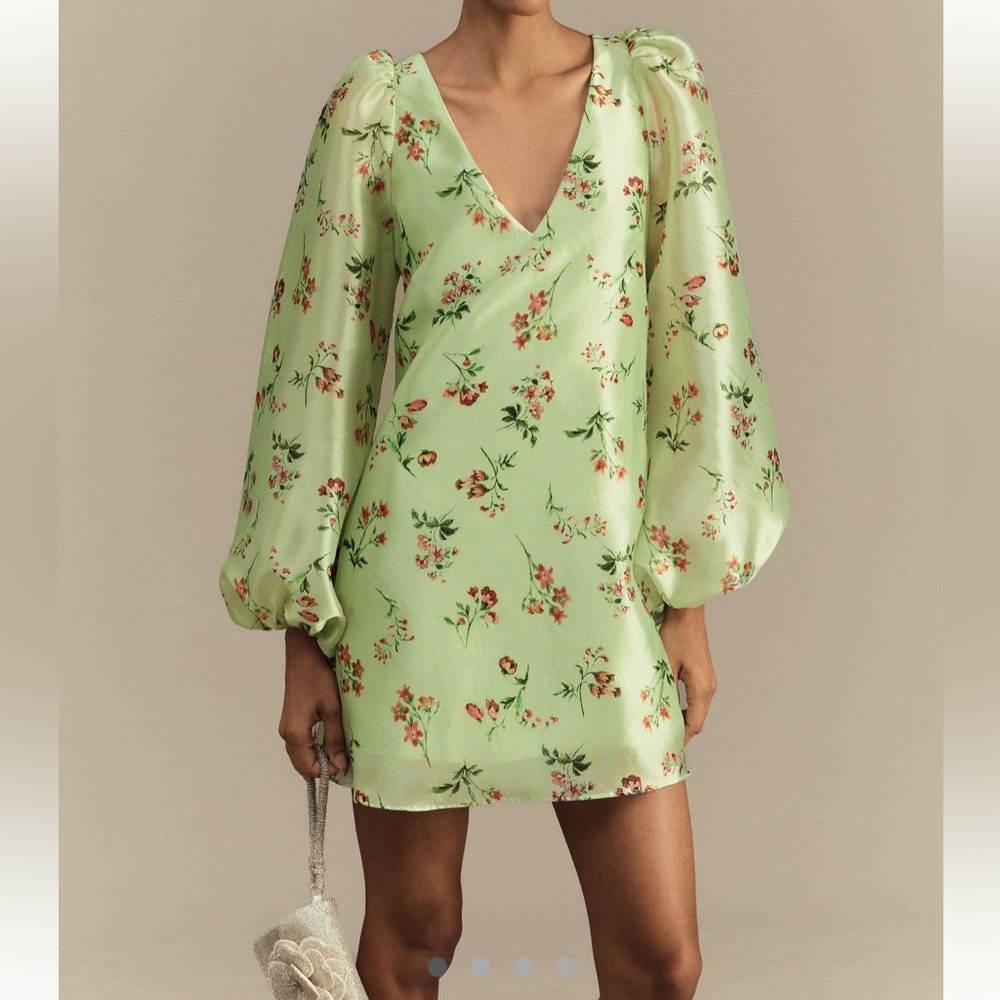 BHLDN Samantha Long-Sleeve Organza Mini Dress